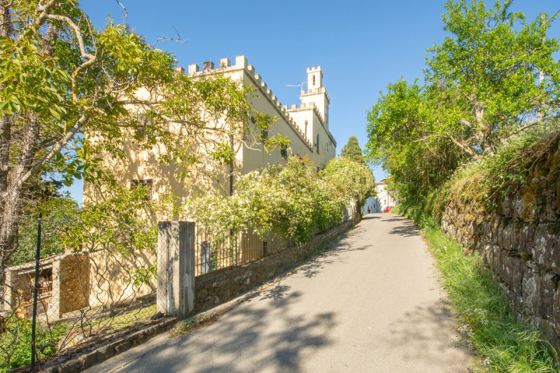 Azienda agricola a Pelago