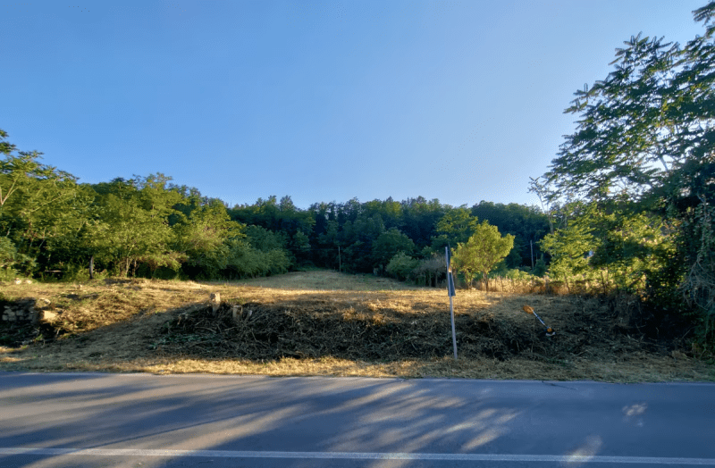 普拉托拉-佩利尼亚农用土地