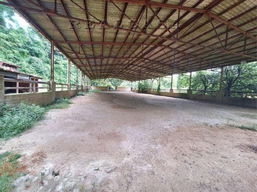 Quinta agrícola em Sirolo