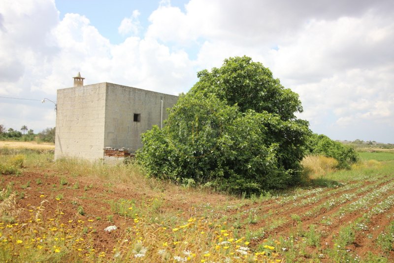 Land in Zollino