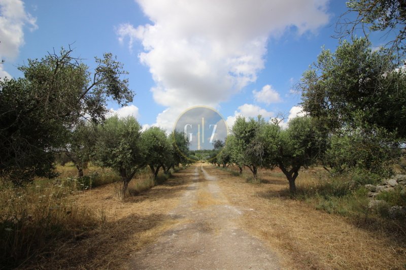 Casa di campagna a Calimera