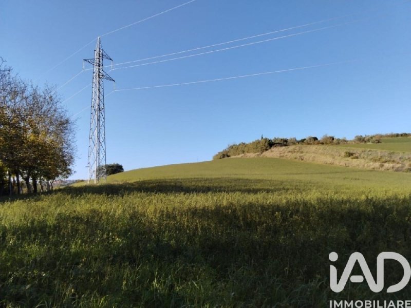 Maison de campagne à Mondavio