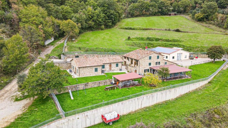 Farm in Sansepolcro