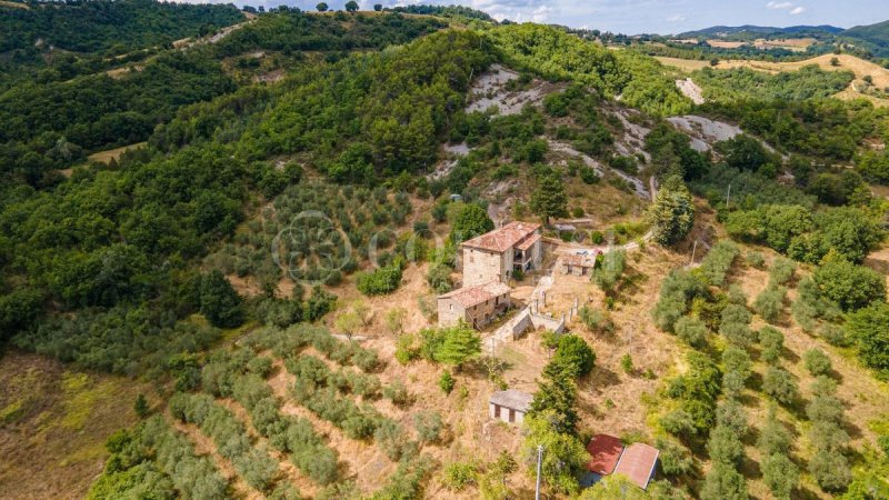 Maison individuelle à Montone