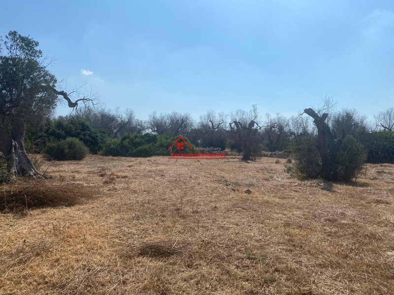 Terreno agrícola en Ugento