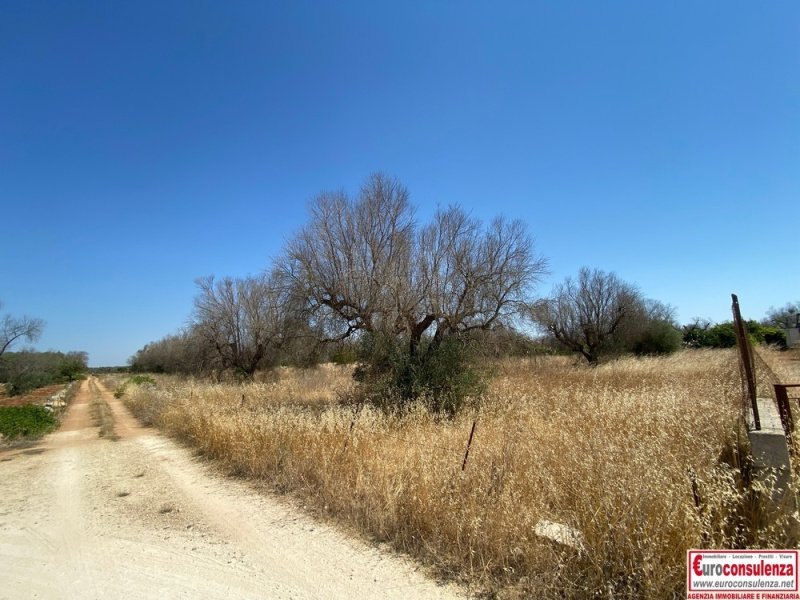 Terreno agricolo a Ugento