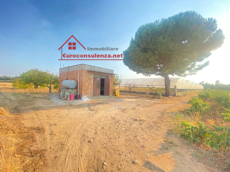 梅利萨诺商业房产