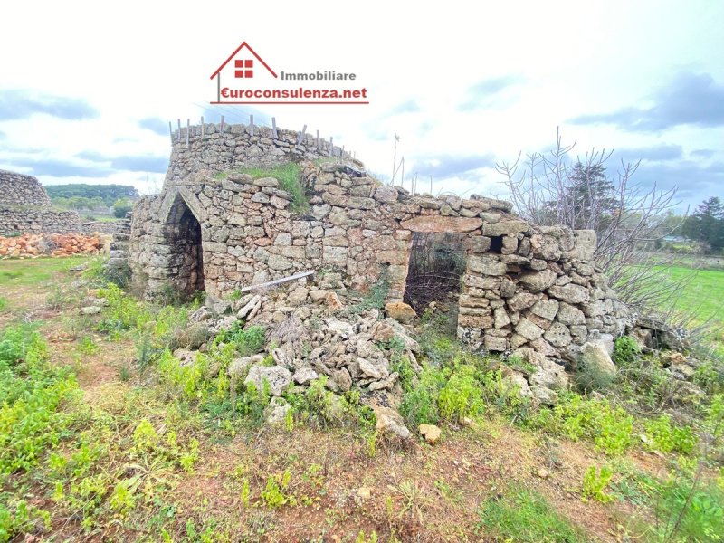 陶里萨诺建筑用地