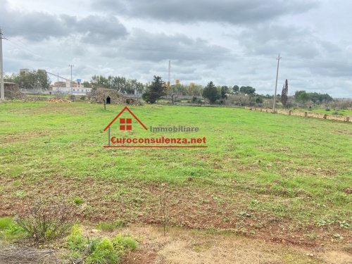 陶里萨诺建筑用地