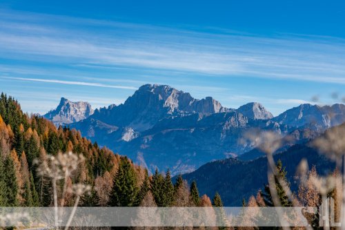 Studio appartement in Falcade