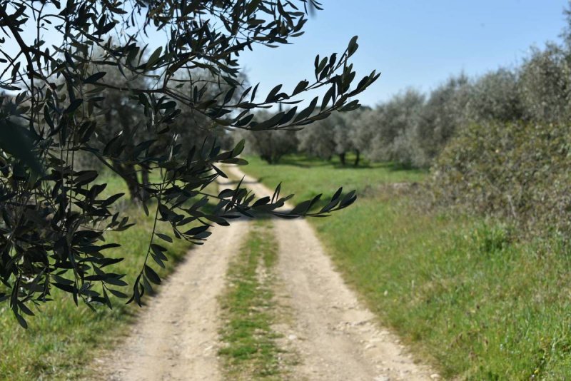 Maison de campagne à San Casciano in Val di Pesa