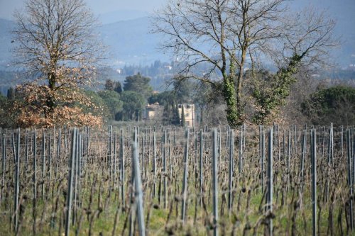 Maison de campagne à San Casciano in Val di Pesa