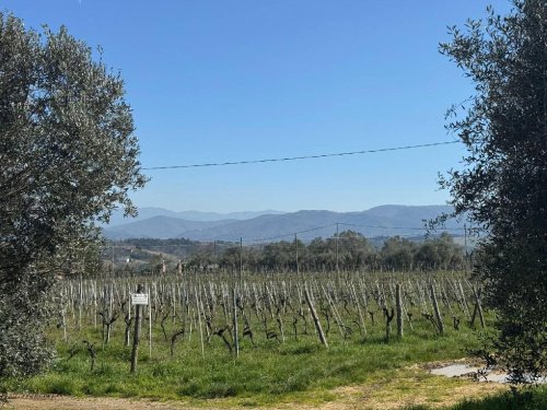 Maison de campagne à San Casciano in Val di Pesa