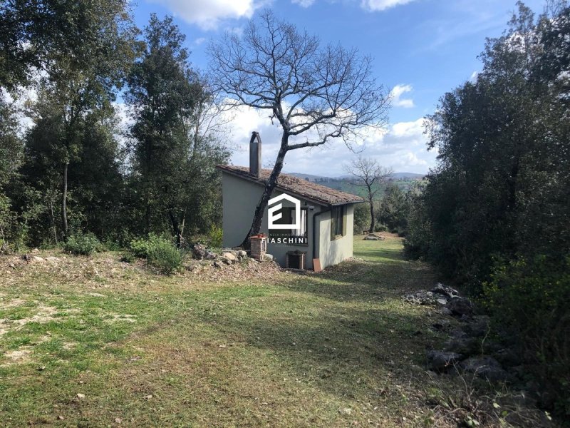Landhaus in Amelia