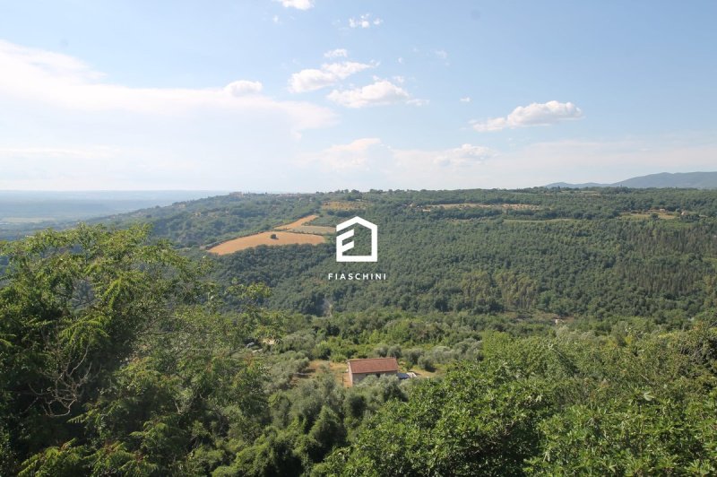 Appartamento a Penna in Teverina