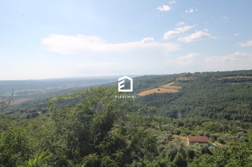Appartamento a Penna in Teverina