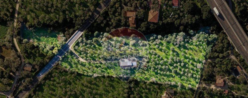 Casa independiente en Sácer