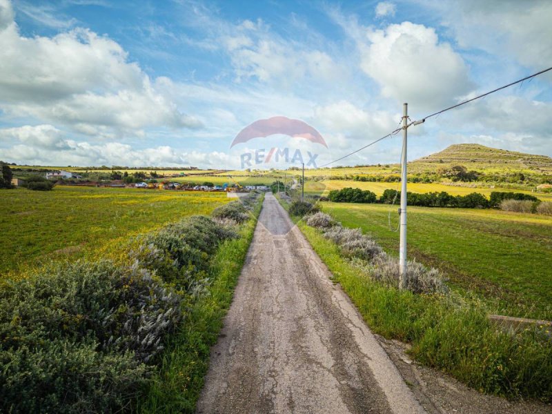 Terreno agrícola en Sorso