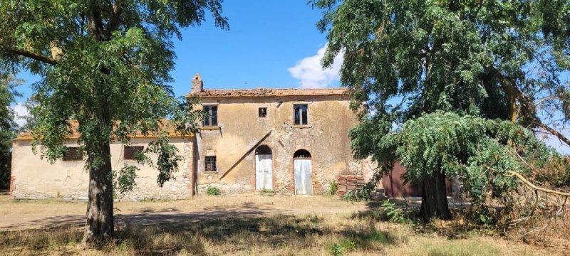 Bauernhaus in Manciano