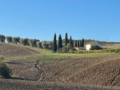 曼恰诺农业公司