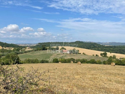 Exploitation agricole à Manciano