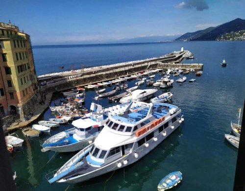 Wohnung in Camogli