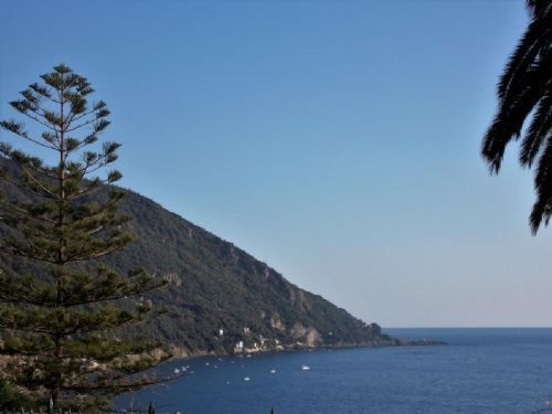 Apartment in Camogli