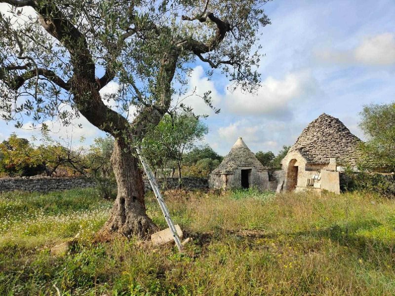 Trullo en Castellana Grotte