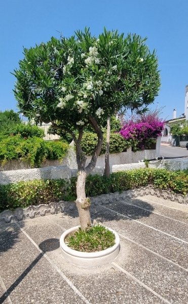 Apartamento em Santa Marinella