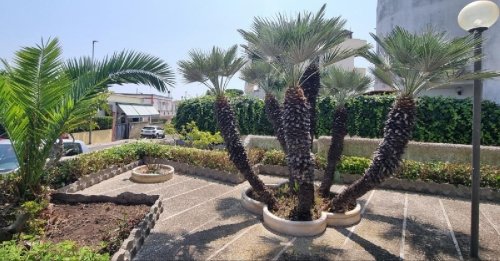 Apartamento em Santa Marinella