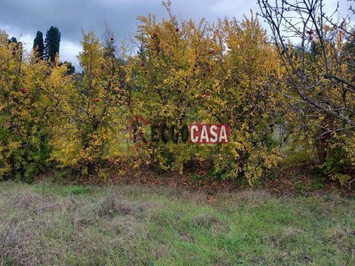 Agricultural land in Capannoli