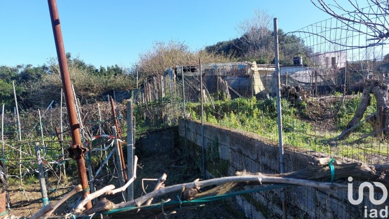 Terreno agrícola em Bacoli