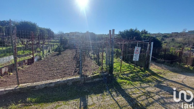 Terreno agrícola em Bacoli