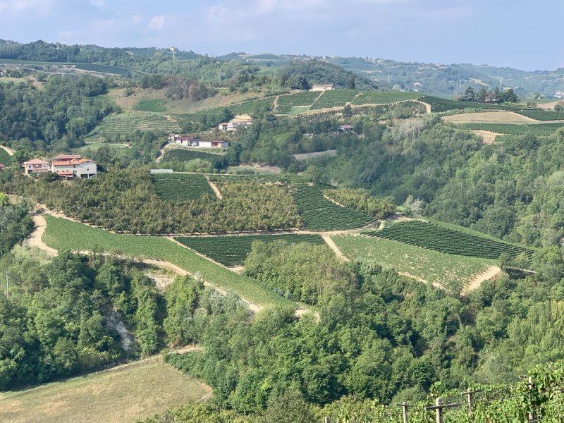 Maison de campagne à Cassinasco