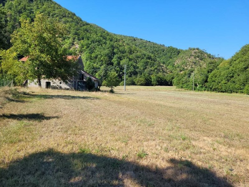 蓬廷夫雷亚乡间房屋