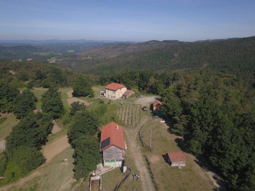 Farm in Sassello