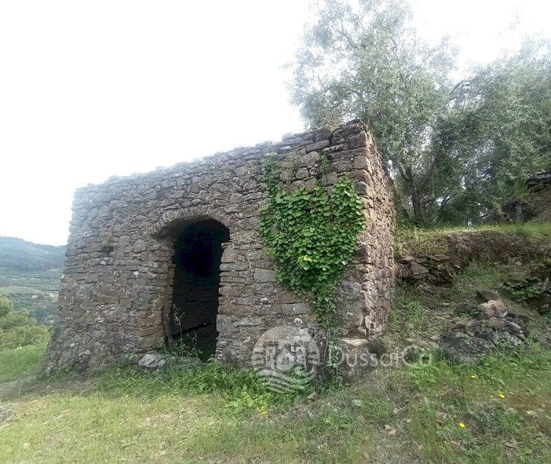 Terrain agricole à Dolceacqua