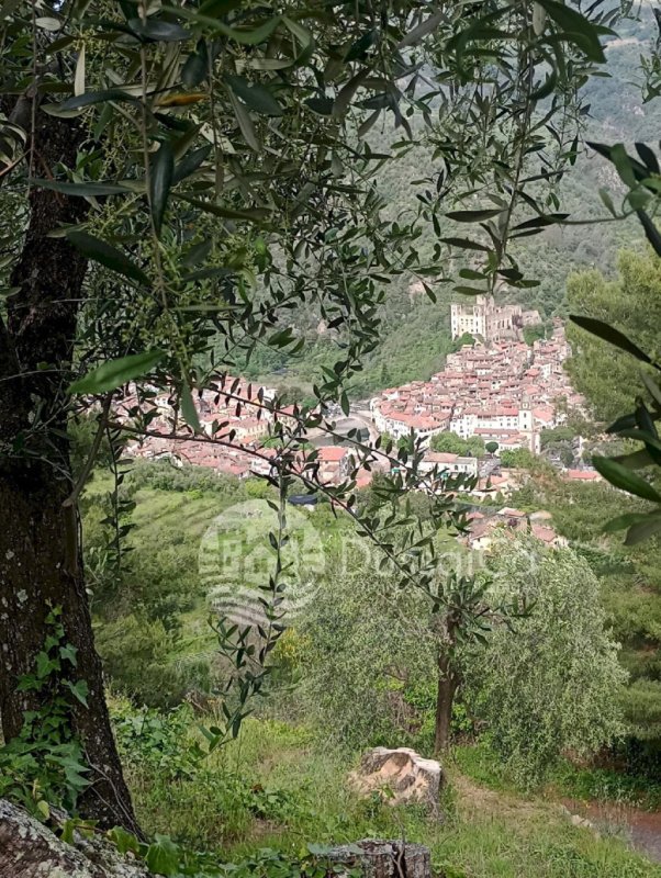 Terrain agricole à Dolceacqua