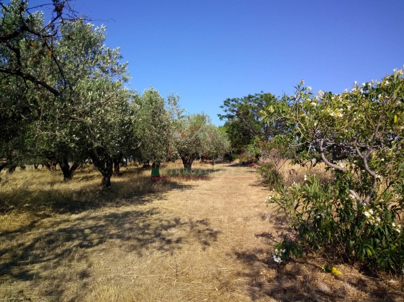 Maison individuelle à Montenero di Bisaccia