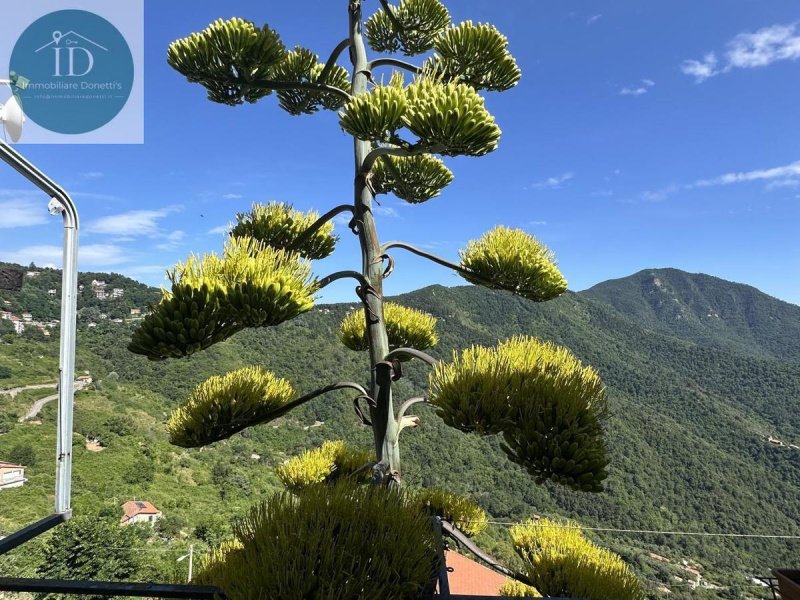 Apartment in Bajardo