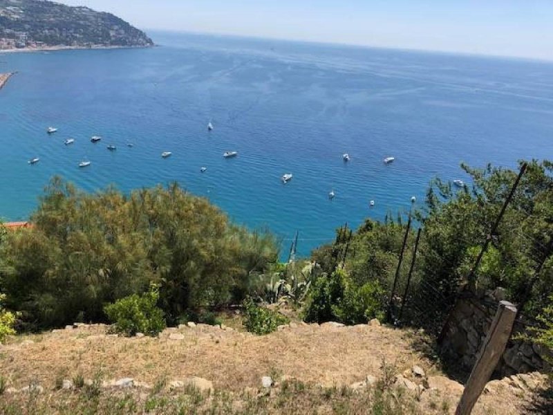 博尔迪盖拉别墅