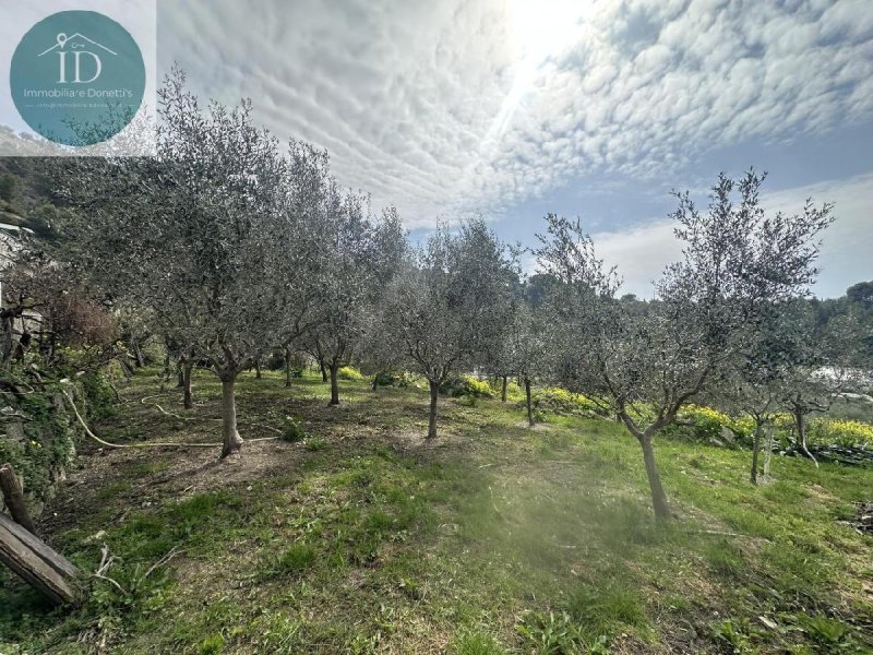 7 Bedrooms Villa for sale in Sanremo [811944] | Gate-away®