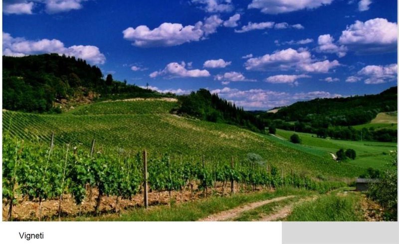 Terreno agricolo a Montespertoli
