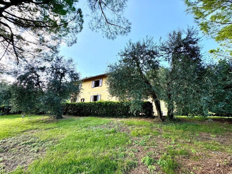 Ferme à Castelfiorentino