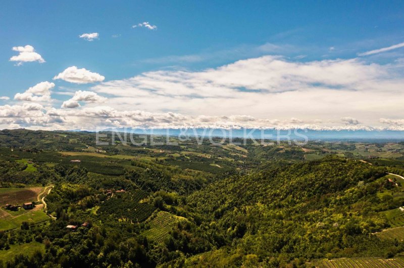 博索拉斯科别墅