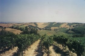 Отдельно стоящий дом в Морро-д'Альба