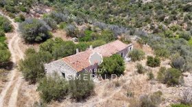 Villa in Olbia