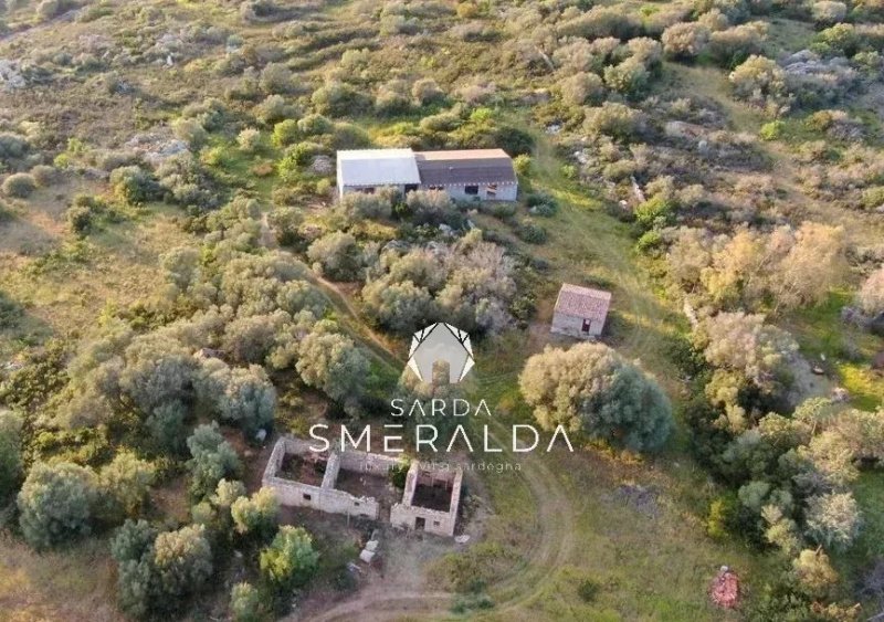 阿尔扎凯纳别墅