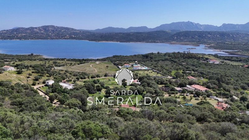 Villa a Olbia