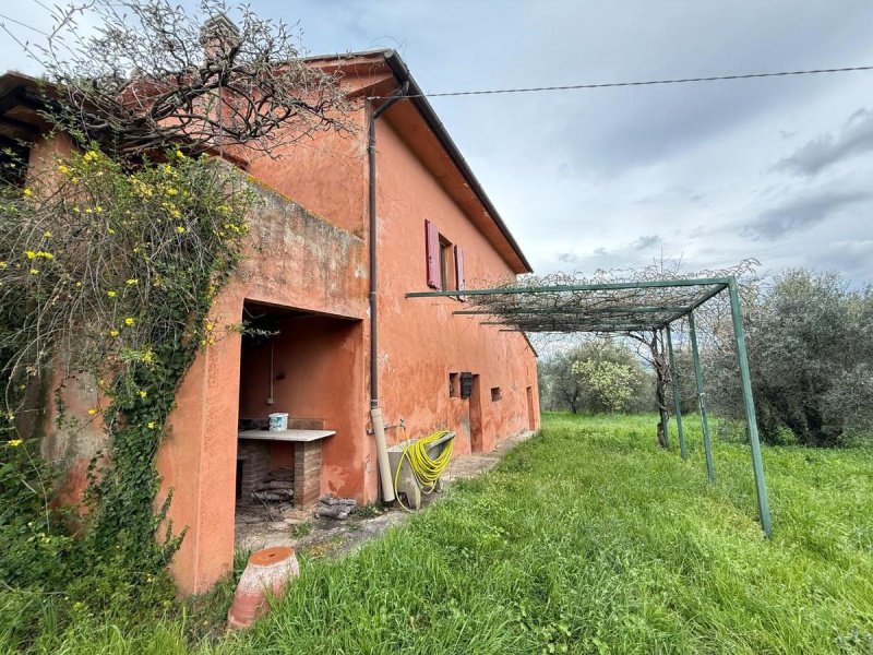 Lantställe i Casciana Terme Lari